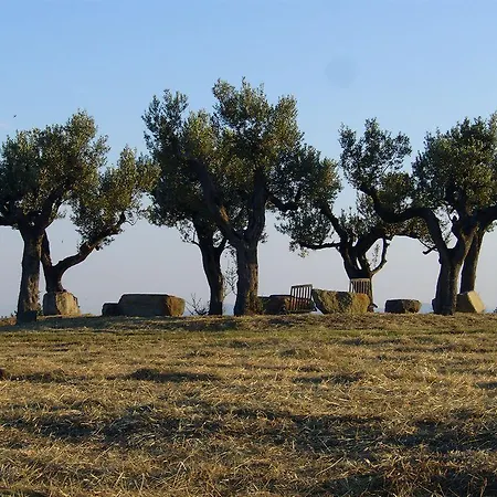 Valdonica Winery Fine Dine & Wine Agroturismo