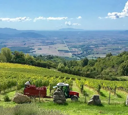 Séjour à la ferme Valdonica Winery Fine Dine & Wine Sassofortino