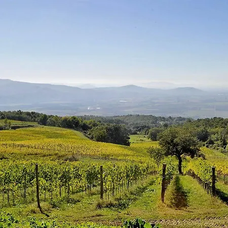 Valdonica Winery Fine Dine & Wine Alojamento de Turismo Rural